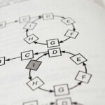 Algorithme et radicalisation comment les réseaux sociaux enferment chacun dans sa propre vérité