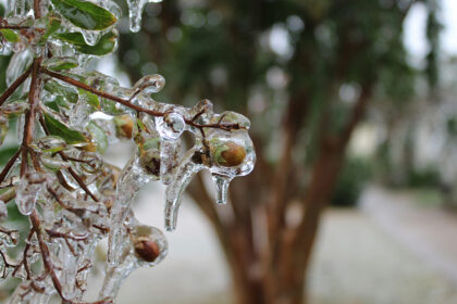 Giboulées de mars pourquoi un phénomène météo ordinaire donne l’impression d’un temps extrême